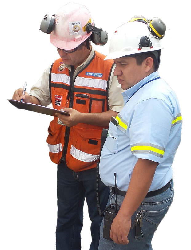 Asesoria Tecnica Industrial Categoria | Nils Pira