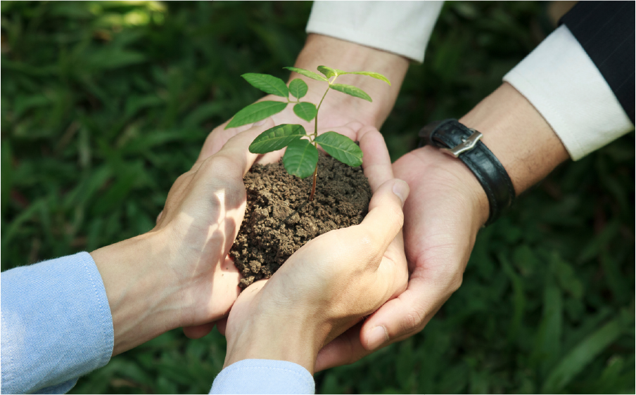 Nils Valores Responsabilidad Social | Nils Pira